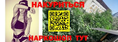 мяу мяу мука Пушкино