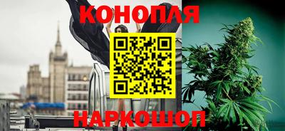 мяу мяу мука Пушкино
