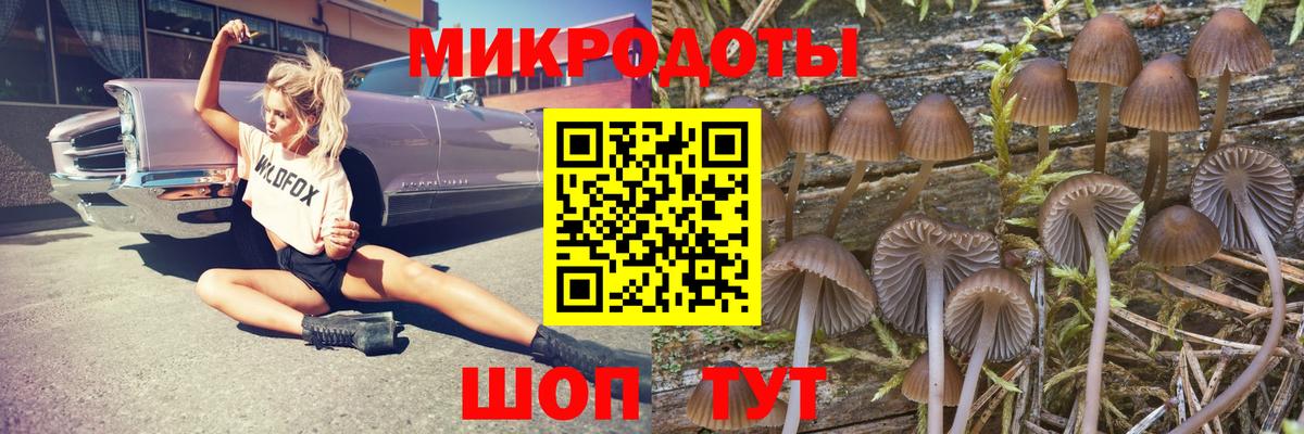 Галлюциногенные грибы Magic Shrooms Россошь